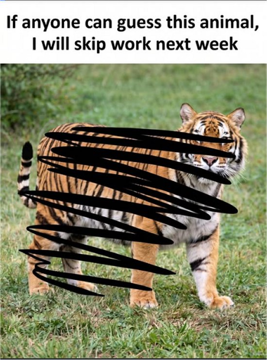guess the animal majorgeeks.jpg